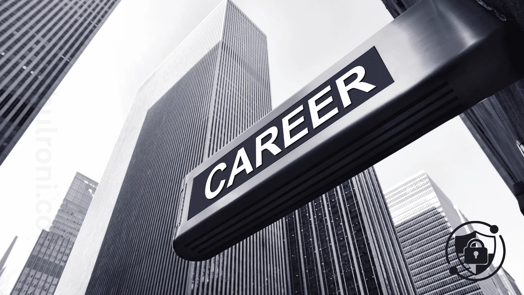 Career in Penetration Testing